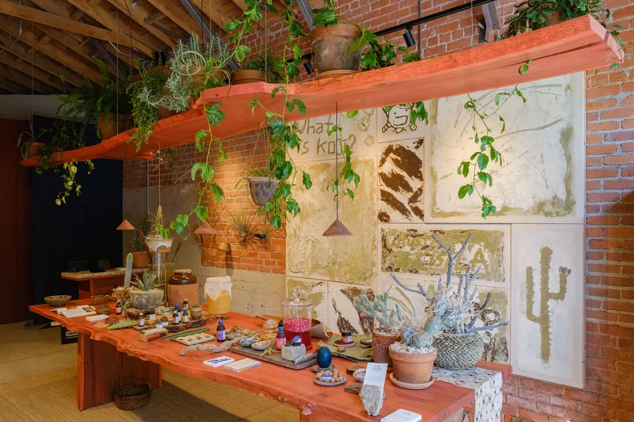 Long red-stained elm table with Noma Projects products and plants in the Silver Lake shop