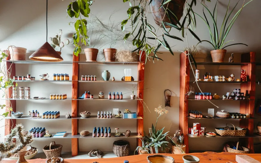 Shelves of red-stained elm with Noma Projects bottles, jars and plants in the Silver Lake shop in Los Angeles